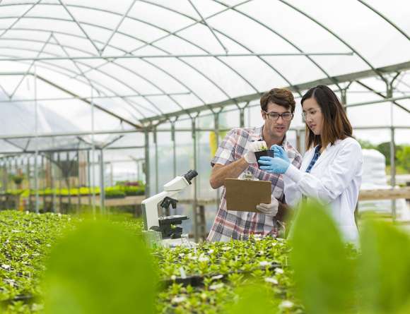 A man and woman working in a greenhouse.